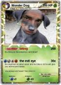 Wonder Dog