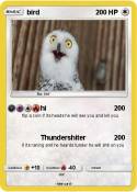bird