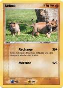 Malinoi