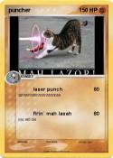 puncher