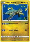 tortue de mer