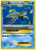 tortue de mer