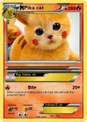 Pika cat