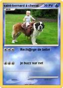 saint-bernard
