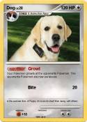 Dog