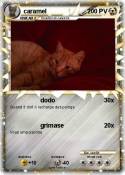 caramel