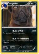 Pugachu