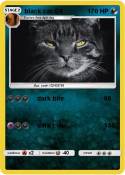 black cat GX