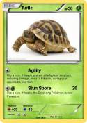 Turtle