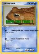 bufothetoad1