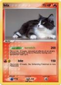 felix