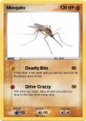 Mosquito