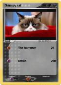 Grumpy cat