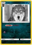 wolf