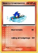 Sonic Lv 121987