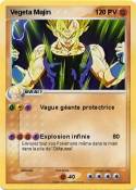 Vegeta Majin