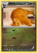 fat cat