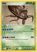 bug