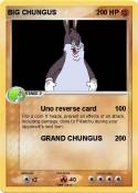 BIG CHUNGUS