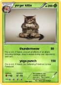 yorger kittie