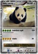 baby panda