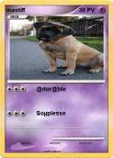 mastiff
