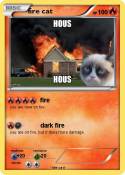 fire cat