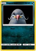Dapper Bird