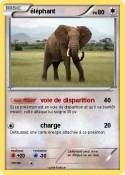 éléphant