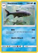 Blackhead Carp