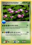 nénupharemchant