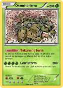 Okami torterra