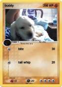 buddy