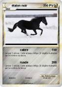 étalon noir