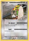 taco cat 100000