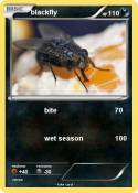 blackfly