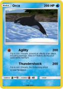 Orca