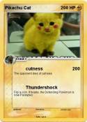 Pikachu Cat