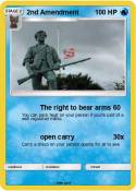 2nd Amendment