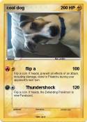 cool dog