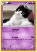 cat