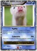 Piggy