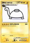 MINE TURTLE
