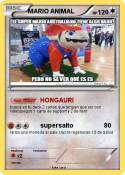 MARIO ANIMAL