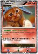 p' tit chat