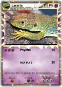 Lacerta