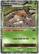 maman protège
