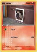 stuck dog