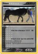 Frison