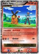 Ash's Tepig
